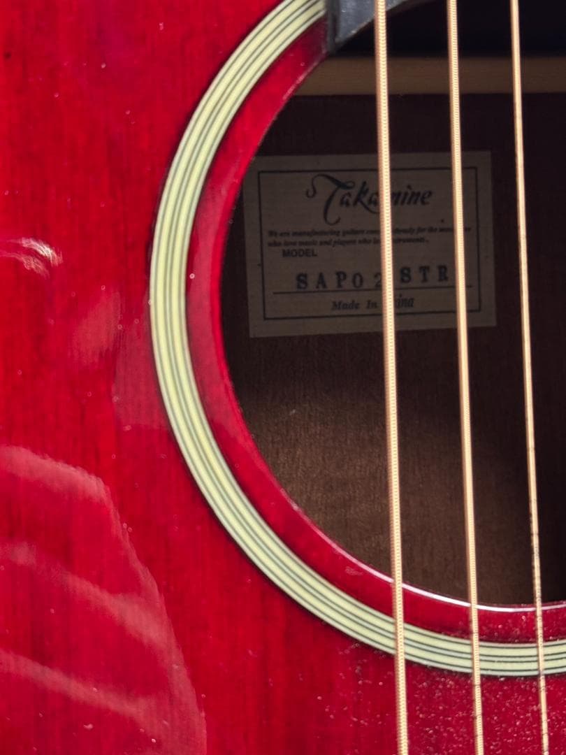 タカミネT-P2 STR？