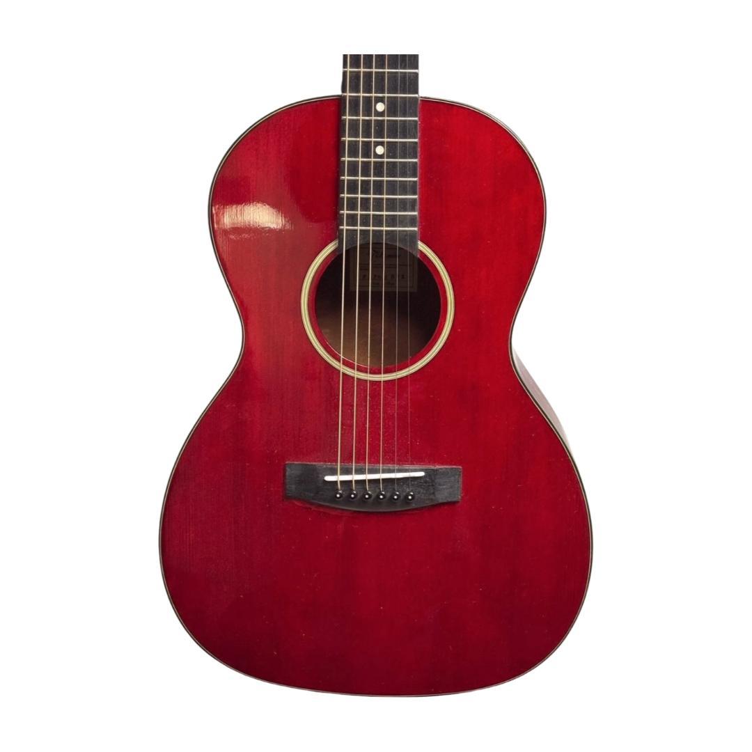 タカミネT-P2 STR？