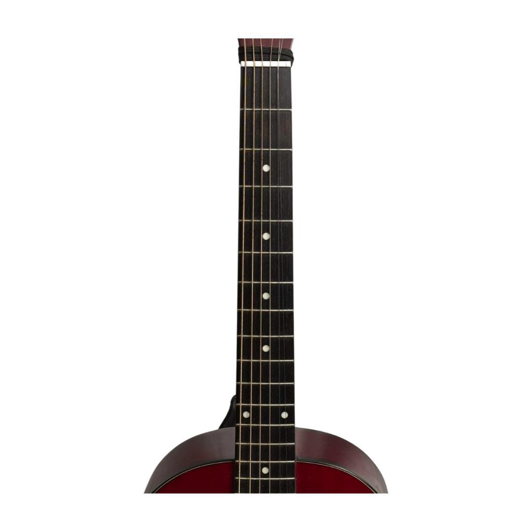 タカミネT-P2 STR？