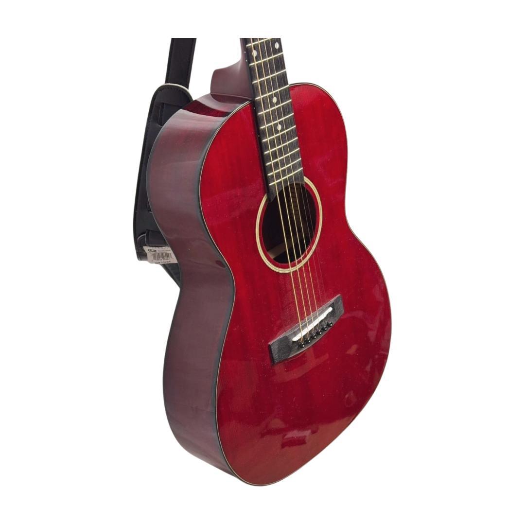 タカミネT-P2 STR？