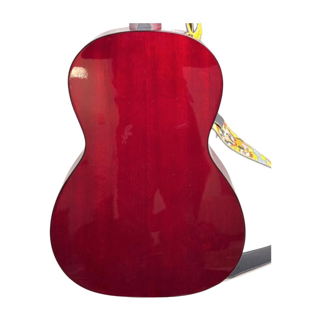 タカミネT-P2 STR？