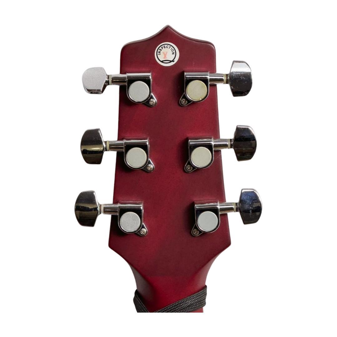 タカミネT-P2 STR？