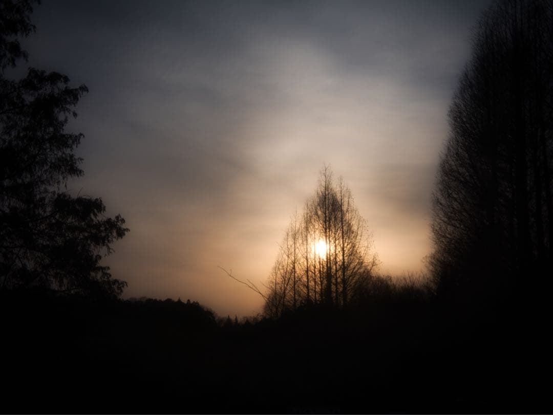 レンズ(単焦点) WOLLENSAK Cine-Velostigmat F1.5 1inch