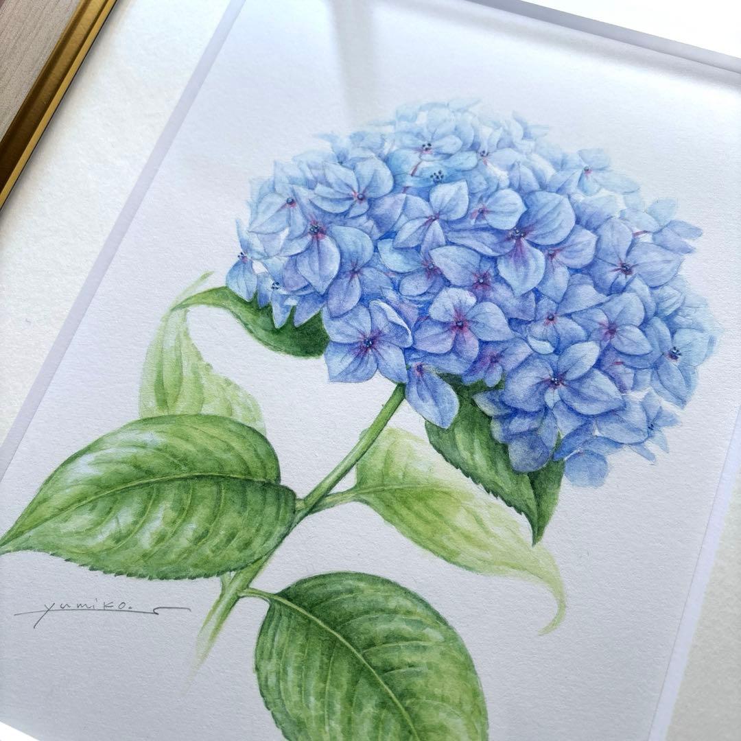 額装　アジサイ　水彩画　原画