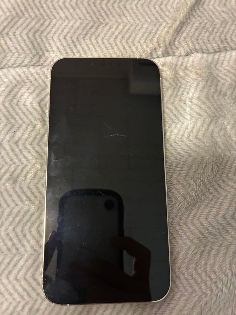 Apple iPhone 13 Pro max 256GB 動作確認済み