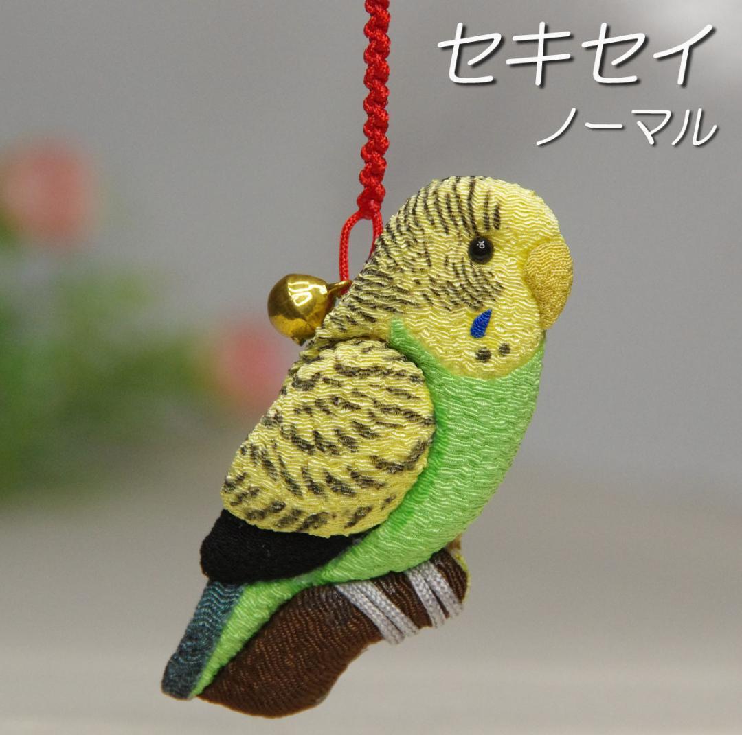 セキセイインコ　ノーマル・オパーリン　マメルリハ