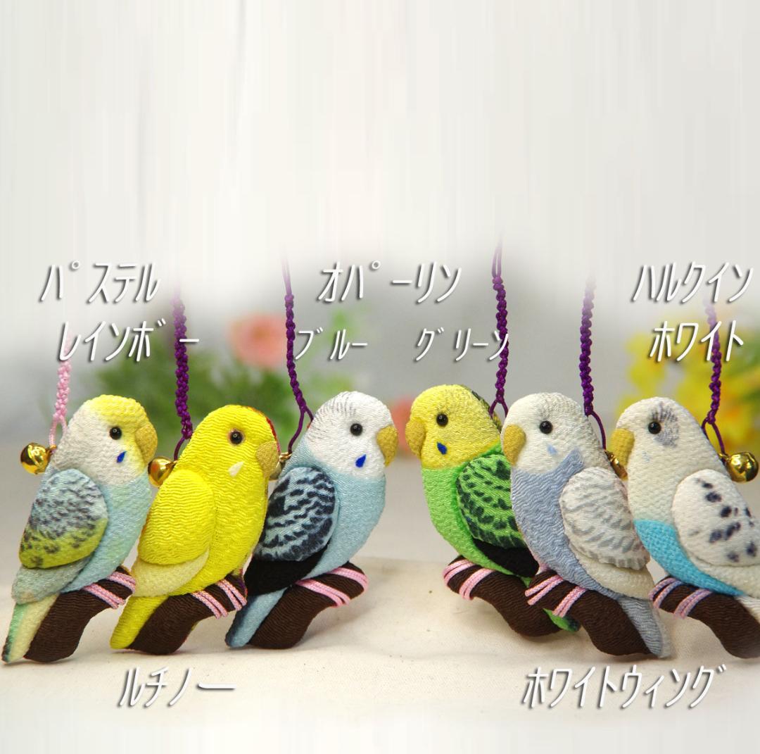 セキセイインコ　ノーマル・オパーリン　マメルリハ