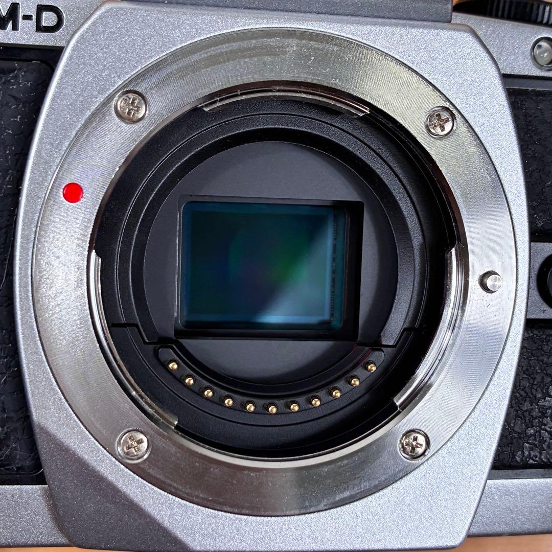 OLYMPUS OM-D E-M10 ミラーレス一眼カメラ ボディ シルバー