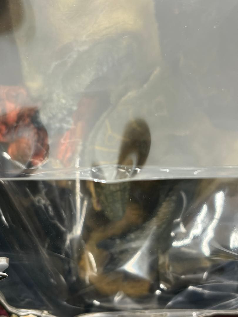 モンスターハンター　クリエイターズモデル　ティガレックス亜種