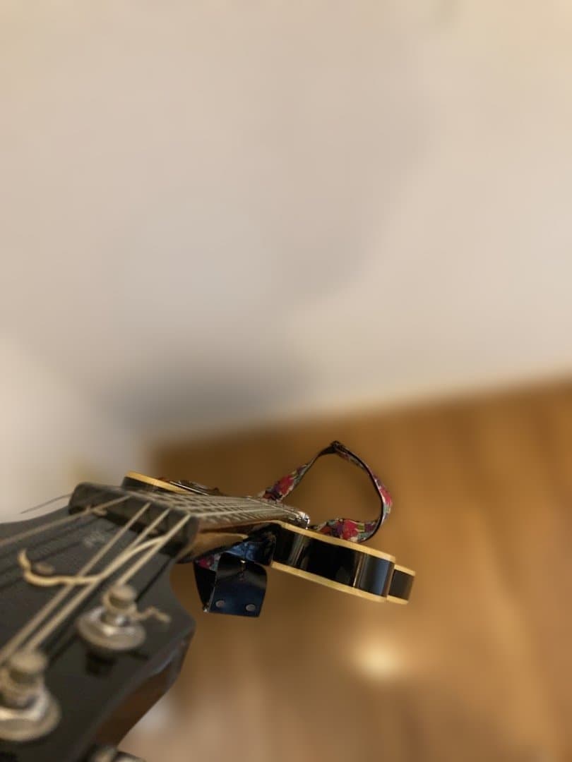 エピフォン　dot Epiphone セミアコ