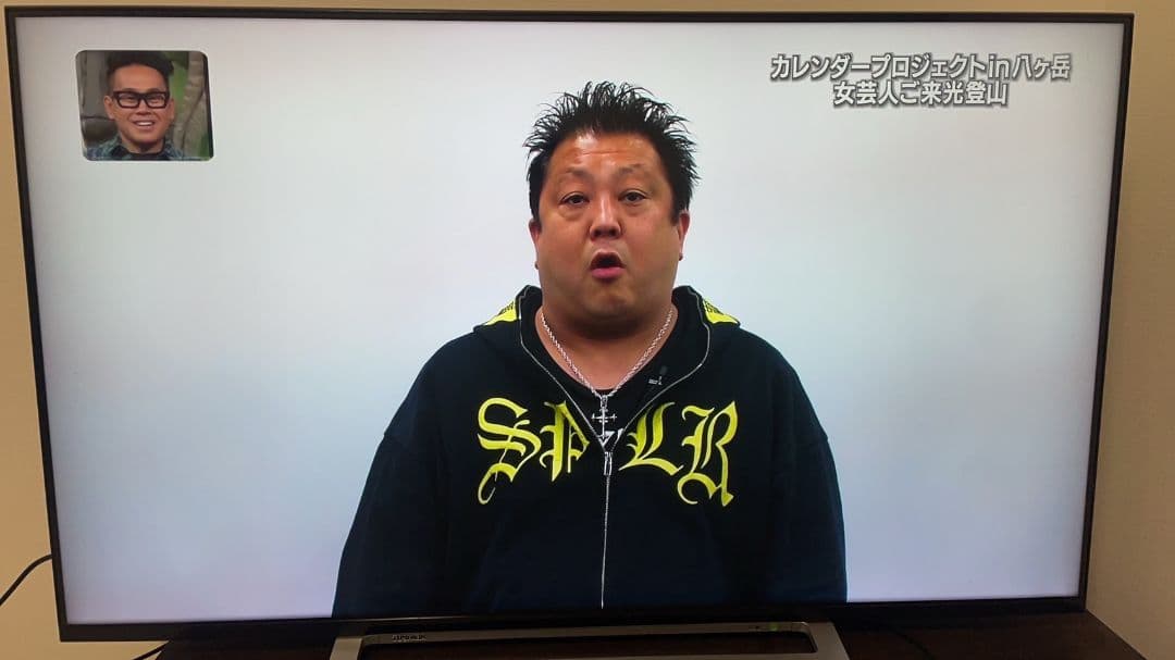 東芝　REGZA　50型　50M520X