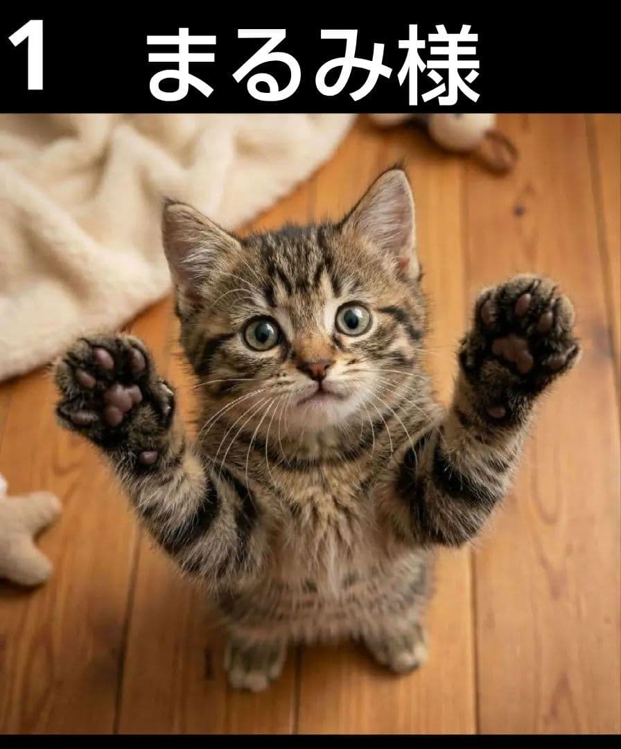 オーダーページ　ハンカチ　302 ハイタッチ猫柄　ハンドメイド1/26