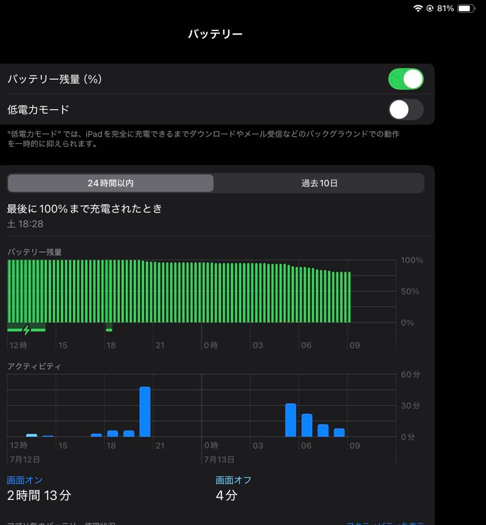 iPad Pro 11 512gb 第3世代 バッテリー良好 美品 高級ケース付