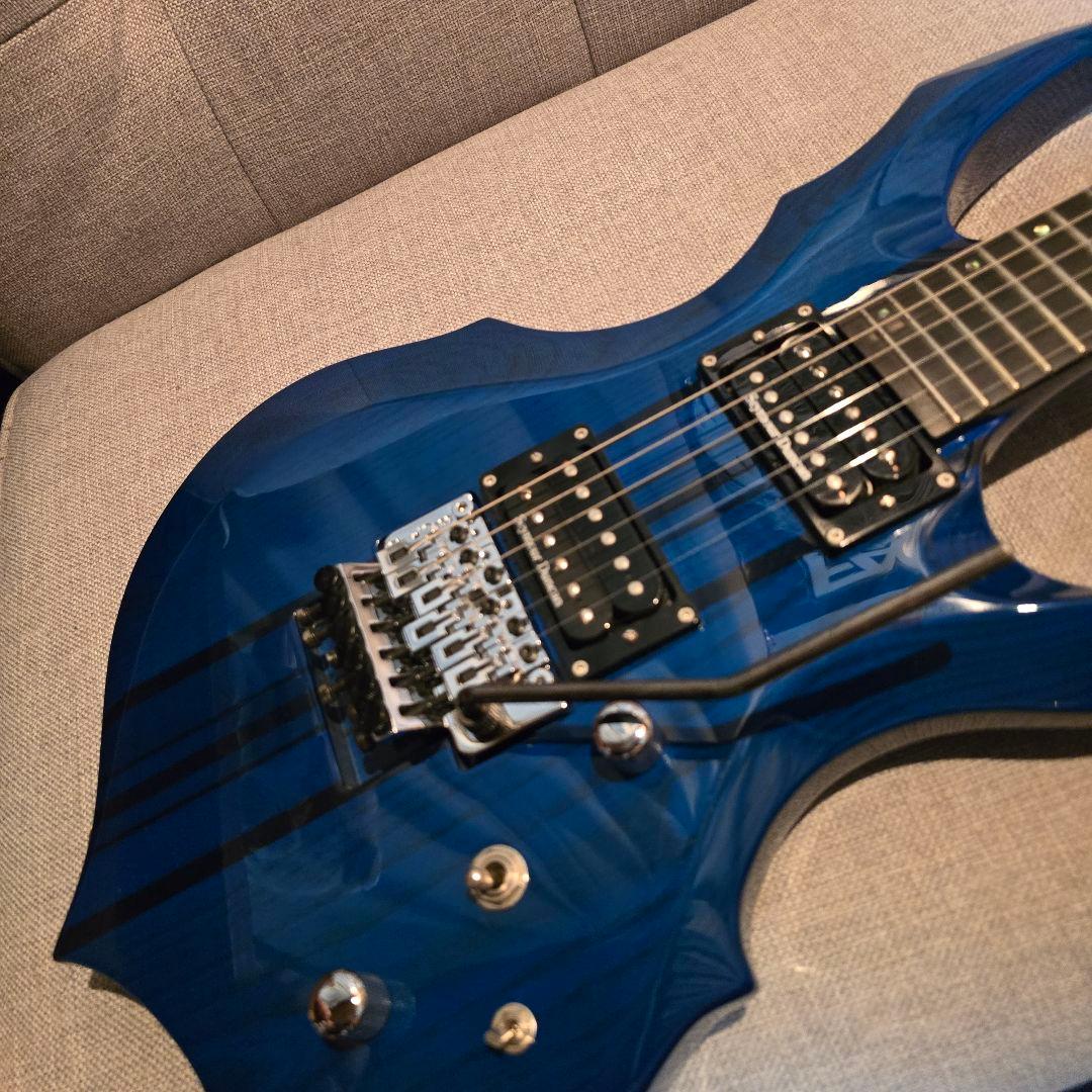 Edwards forest E-FR-145GT/QM フォレスト ケース付属