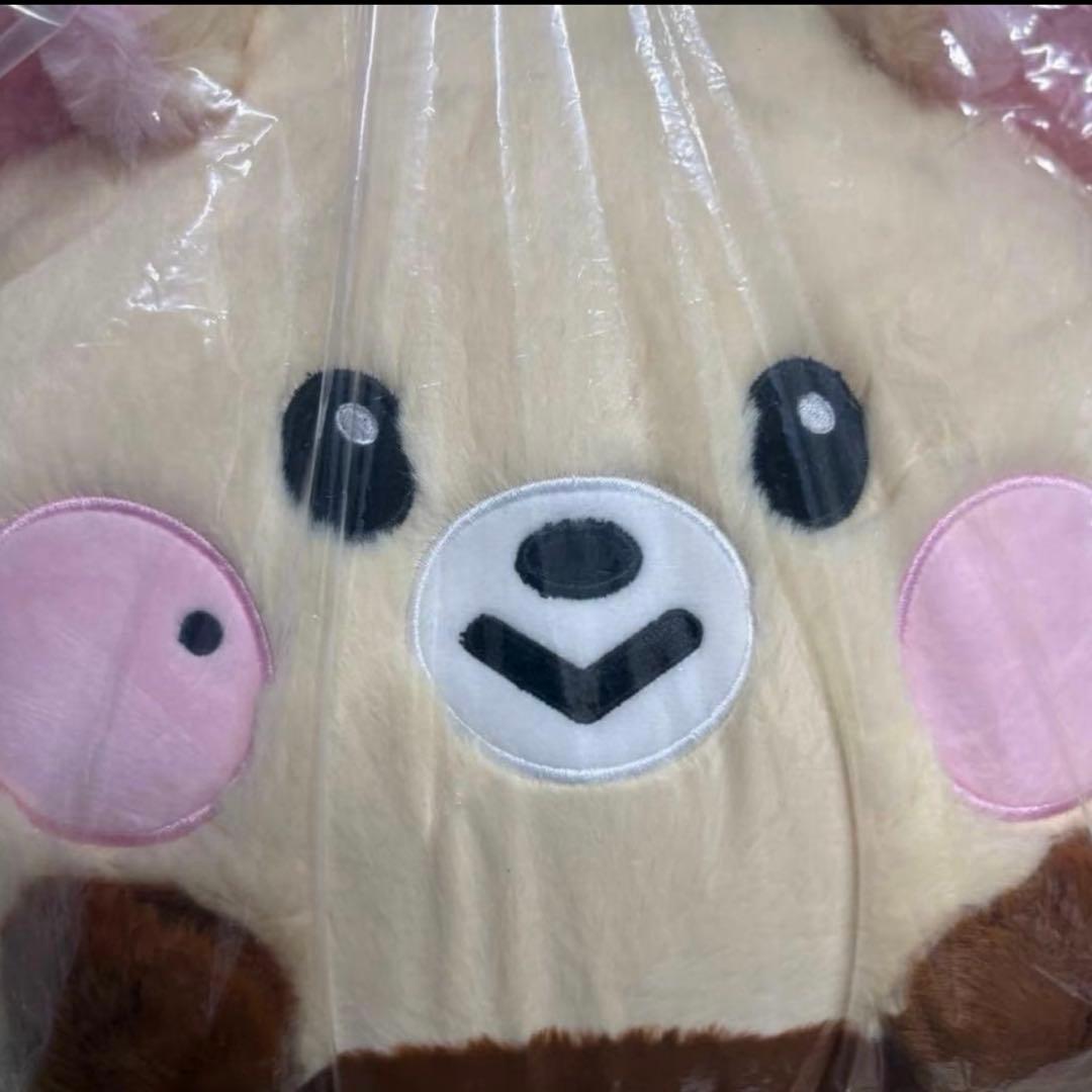 NCT Dreamiez フラットぬいぐるみクッション チソン