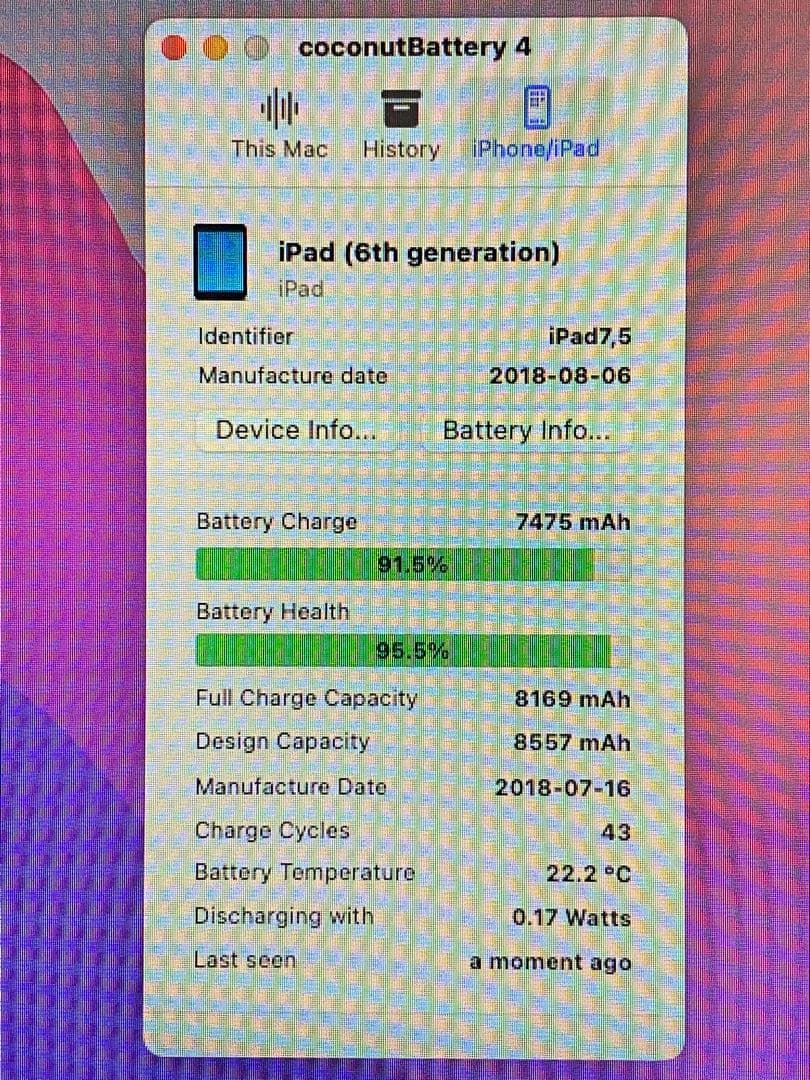 iPad(第6世代) Silver 32GB バッテリー最大容量95%