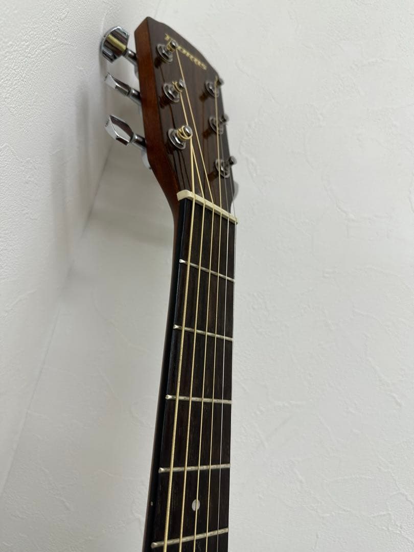 Morris アコースティックギター M-12NAT美品