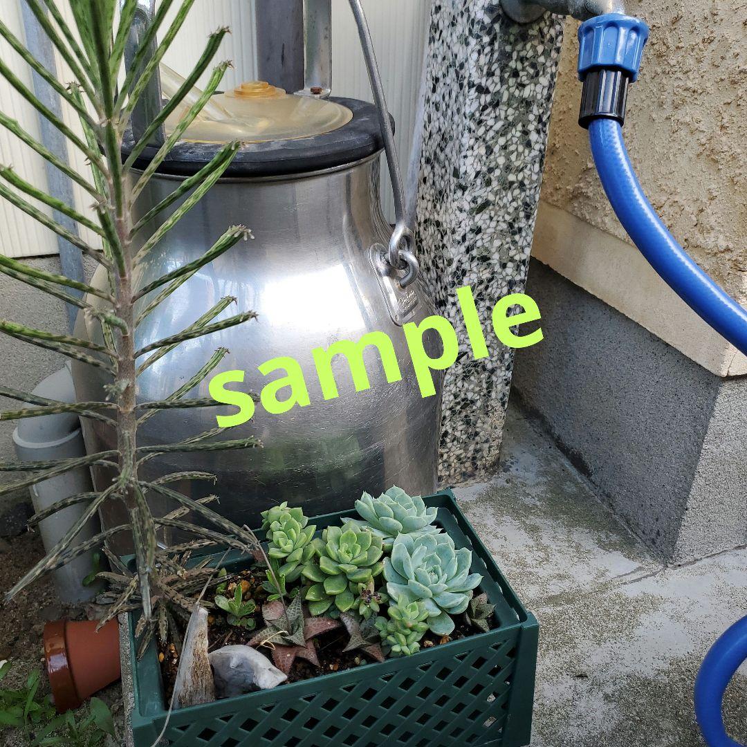 レトロ ステンレス ミルク缶 ミルクタンク