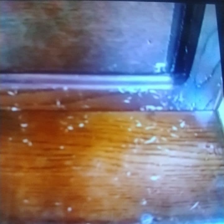 brady様用✨アトランタ家具✨ 国産栗＆楢天然杢ライティングデスク✨一部傷有り