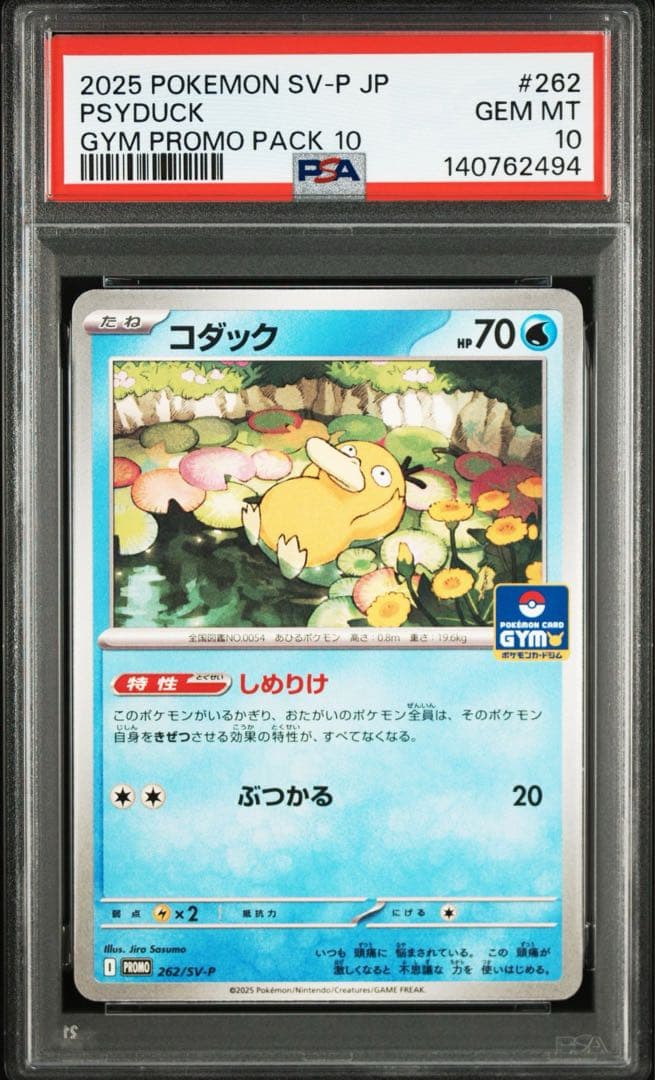 コダック P [SV-P 262](プロモ「第10弾」) PSA10 連番