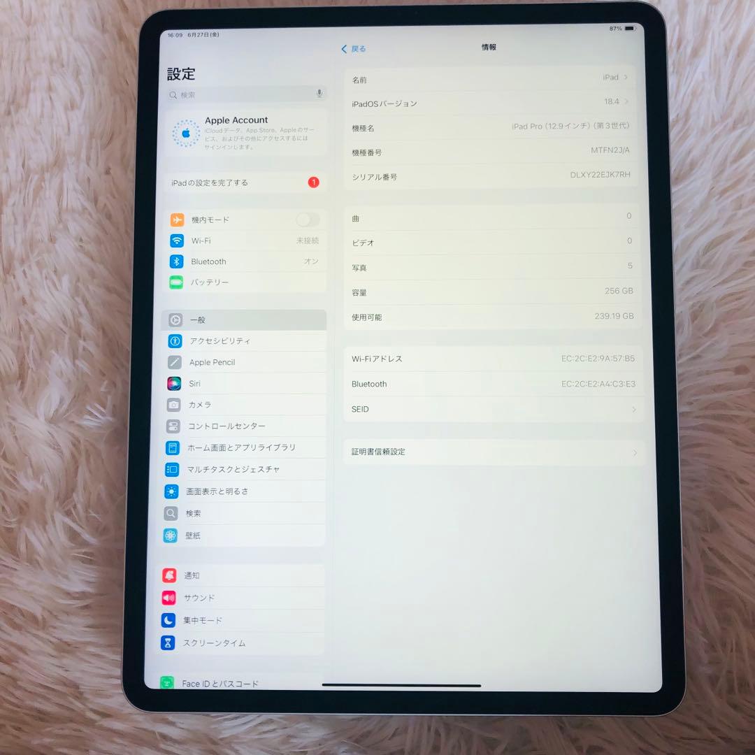 【7/13販売終了】iPad Pro 12.9 第3世代 256GB