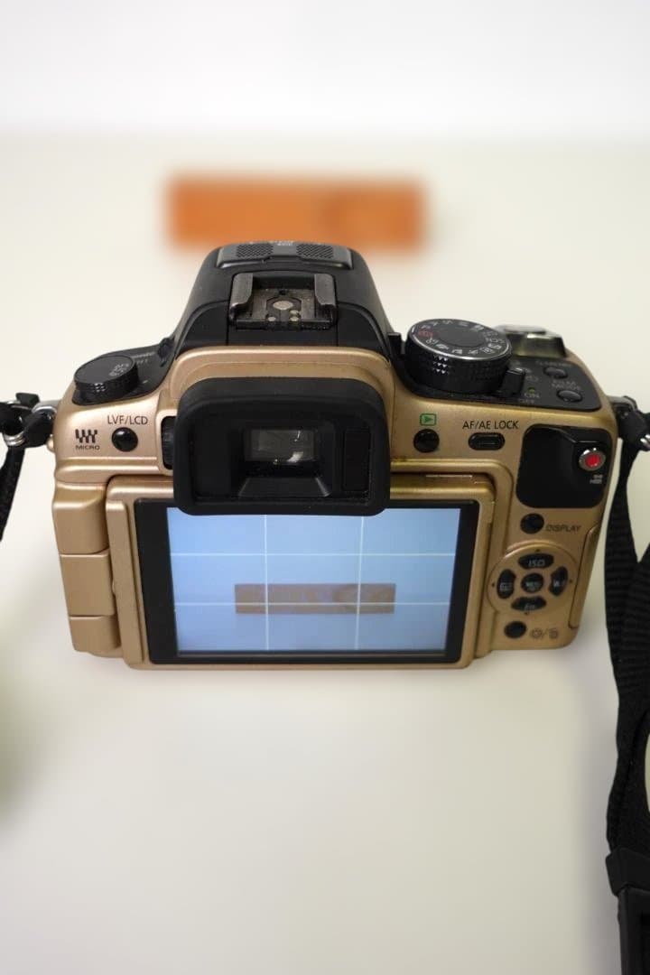 LUMIX DMC-GH1 ゴールドボディ（純正バッテリー2個付・充電器付）