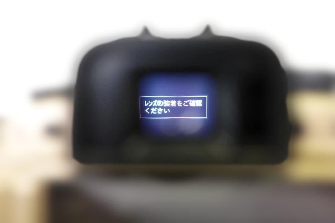 LUMIX DMC-GH1 ゴールドボディ（純正バッテリー2個付・充電器付）