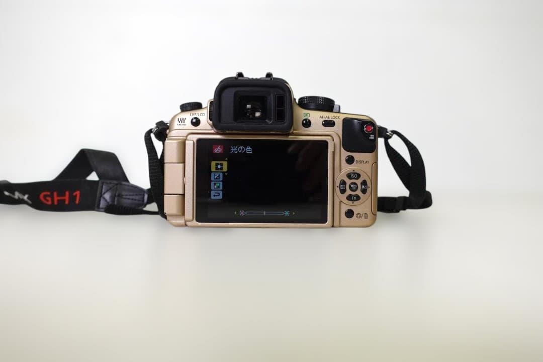 LUMIX DMC-GH1 ゴールドボディ（純正バッテリー2個付・充電器付）