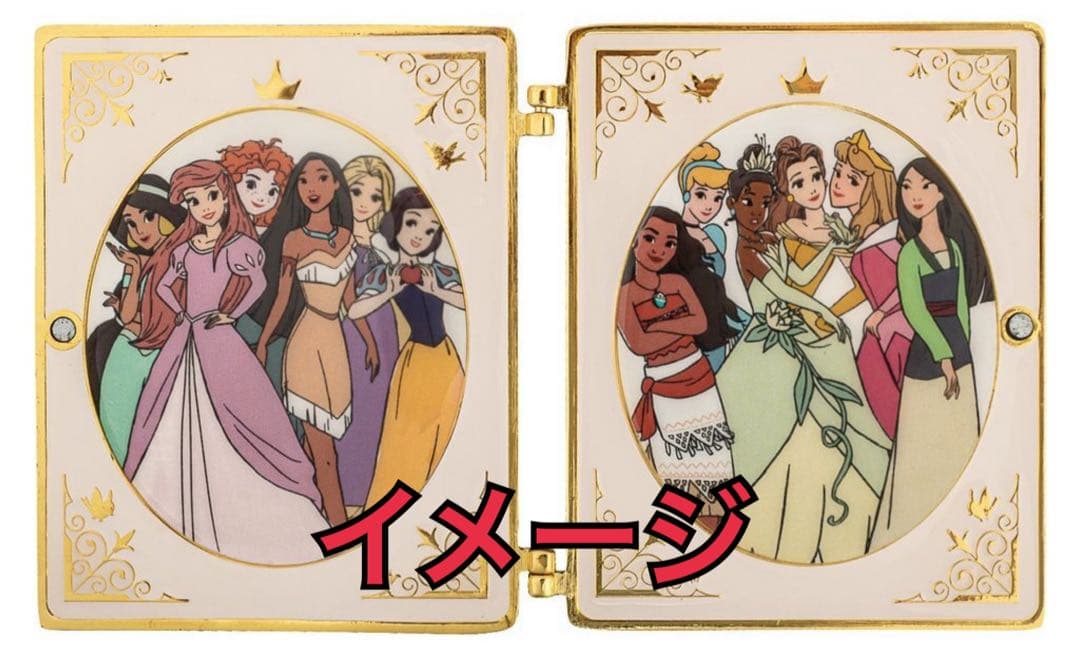 ディズニー　ラウンジフライ　プリンセス　本　ピン　限定