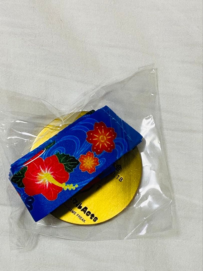 ポケモンラン　沖縄　ガーディ　メダル