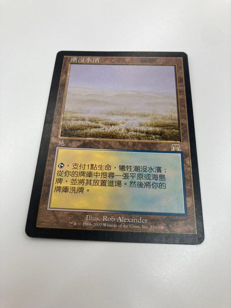 Mtg 溢れかえる岸辺 中国語