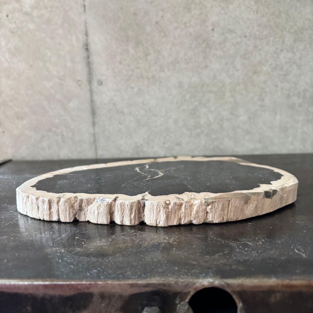 珪化木 木化石 フォッシルプレート ペトリファイドウッド インテリア