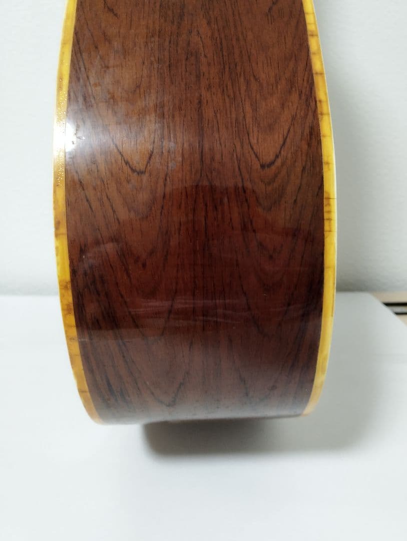 Hillbilly アコースティックギター W-60