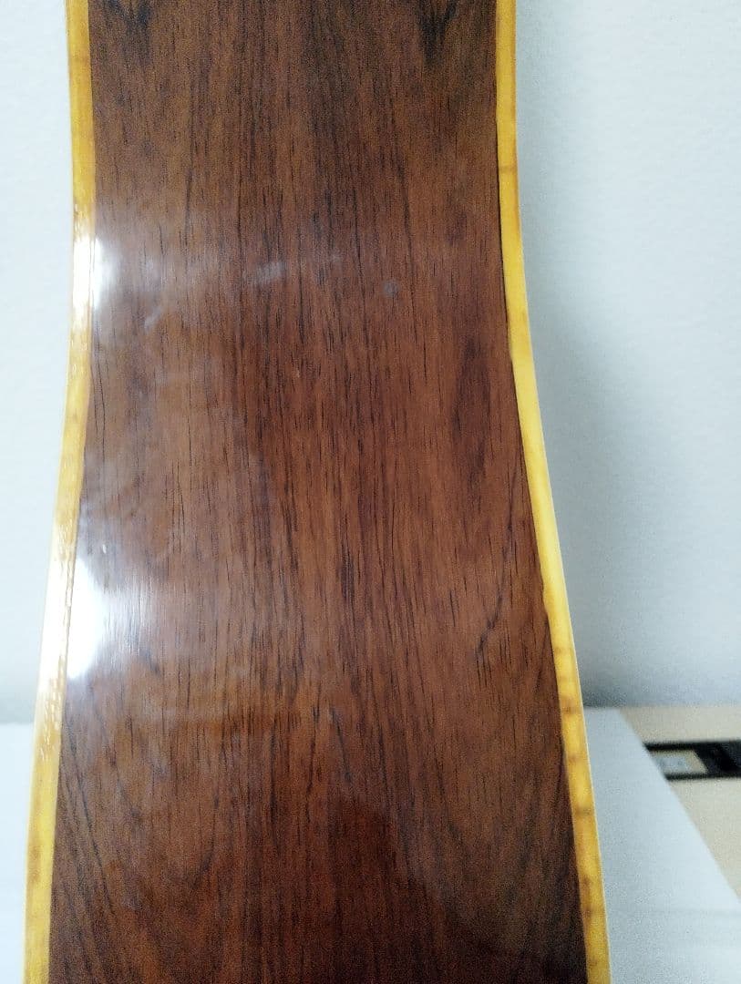 Hillbilly アコースティックギター W-60