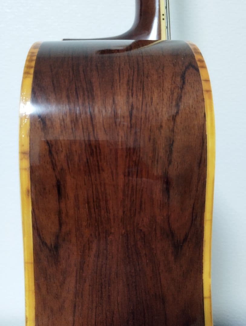 Hillbilly アコースティックギター W-60