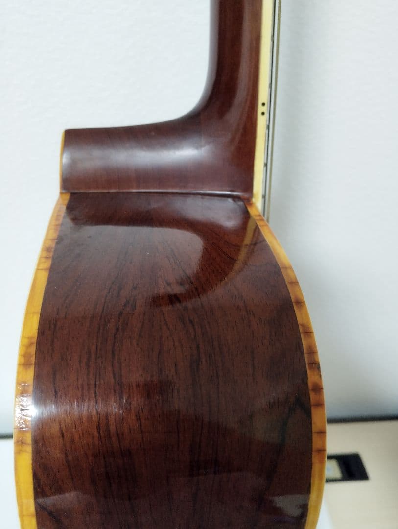 Hillbilly アコースティックギター W-60