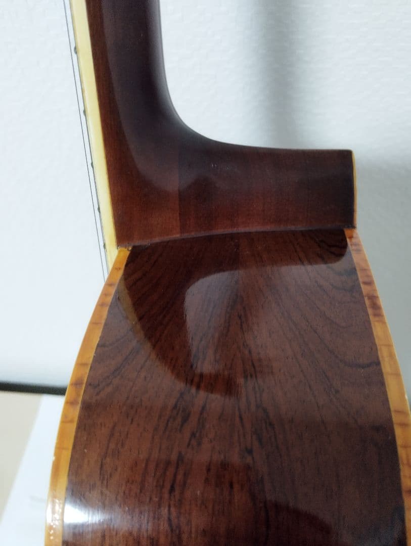 Hillbilly アコースティックギター W-60