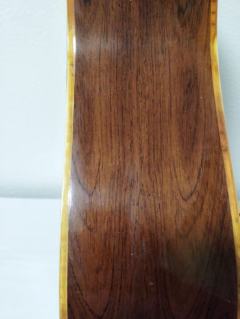 Hillbilly アコースティックギター W-60