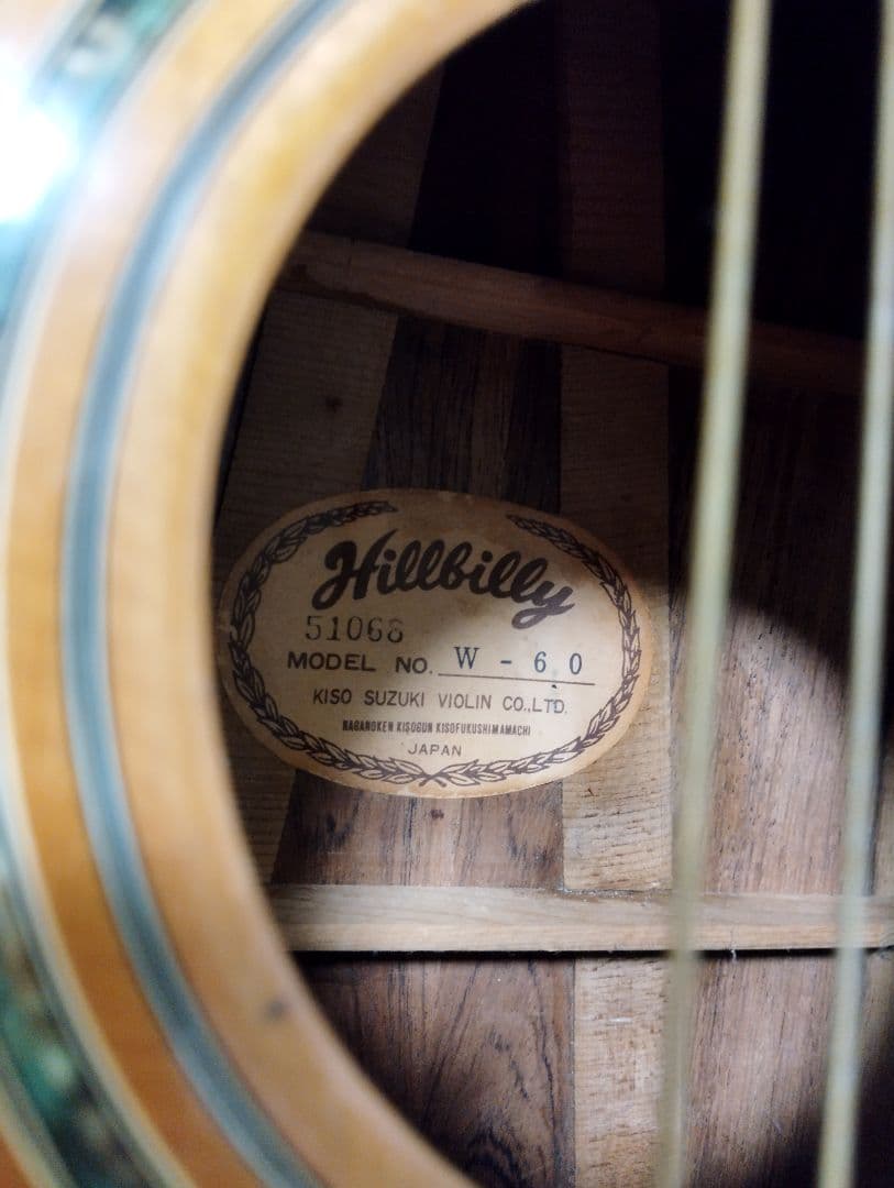 Hillbilly アコースティックギター W-60