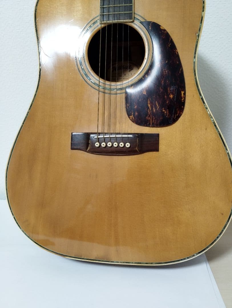 Hillbilly アコースティックギター W-60
