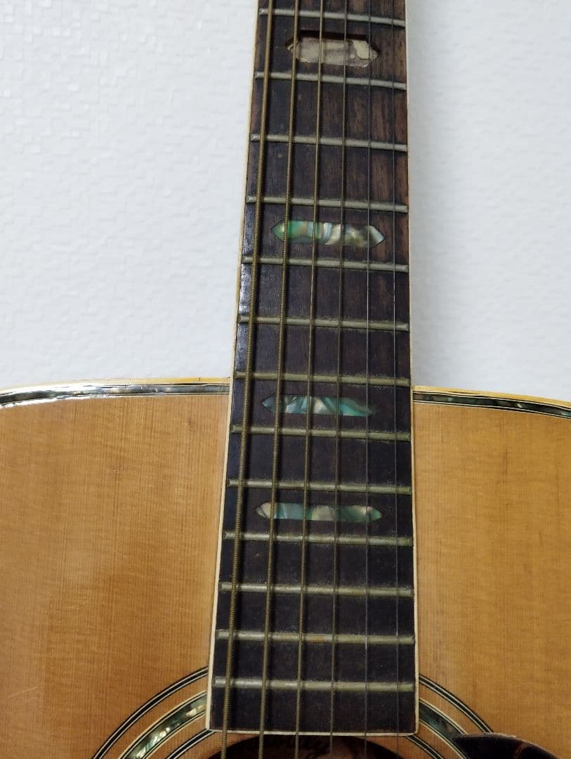 Hillbilly アコースティックギター W-60