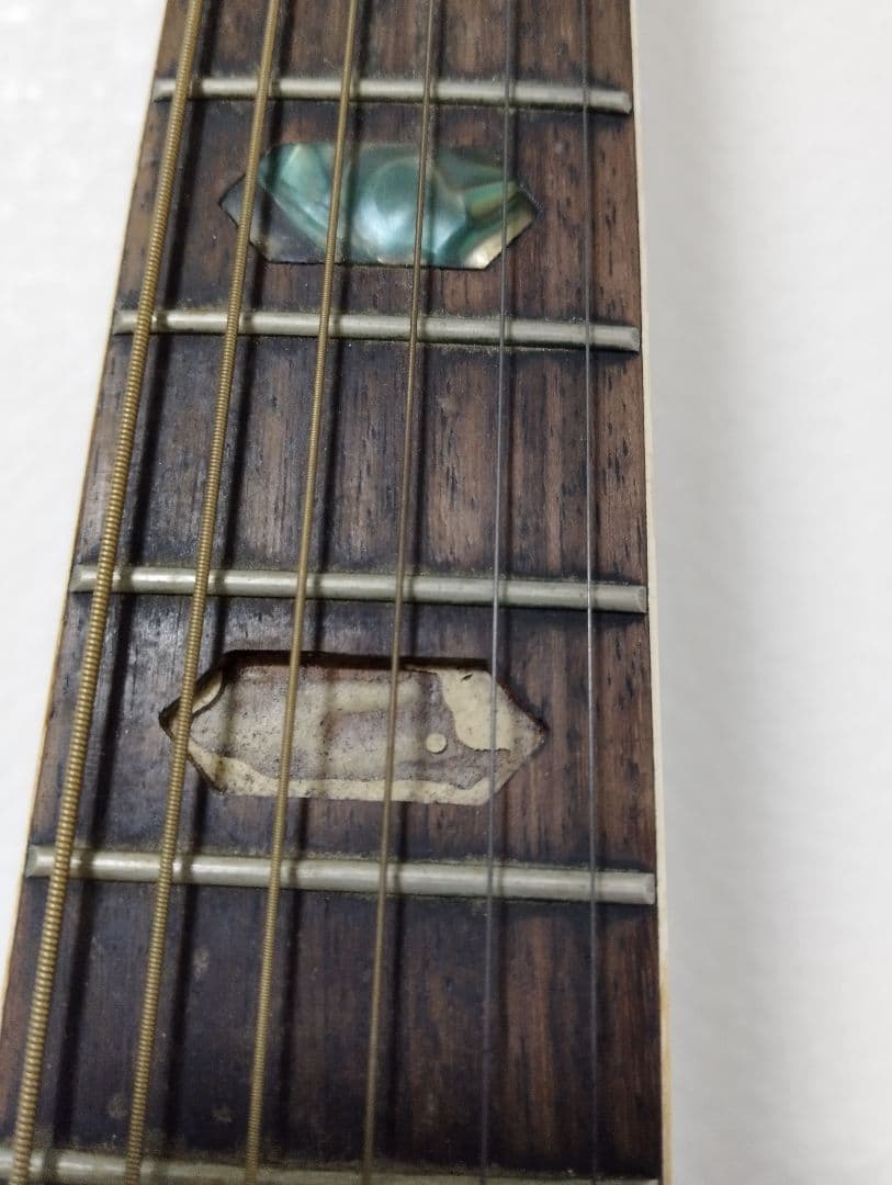 Hillbilly アコースティックギター W-60