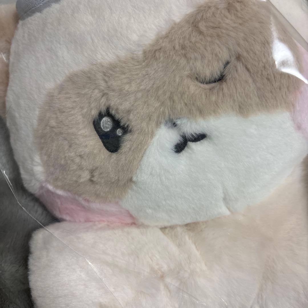 zb1 zeroni エンジェル 天使 ぬいぐる ハニニ hanini