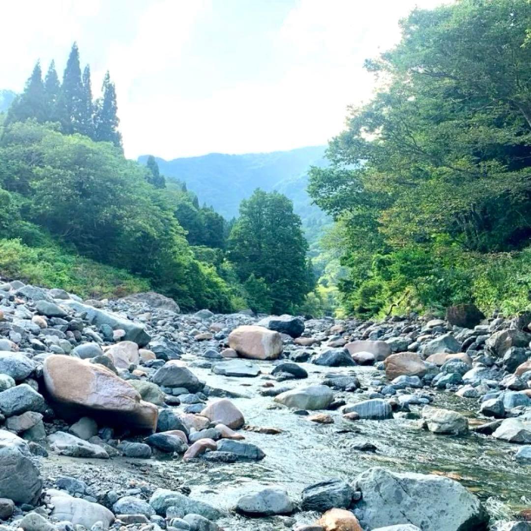 夢幻品質　超秘蔵放出　太古から甦りし神の守護石　幻の糸魚川龍神黒翡翠の大珠ブレス