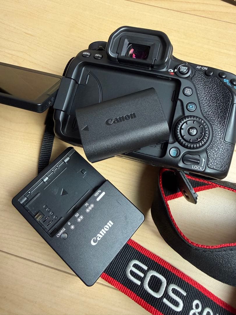 【極美品】Canon EOS 80D ★シャッター数1万回！