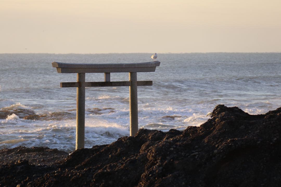 【極美品】Canon EOS 80D ★シャッター数1万回！