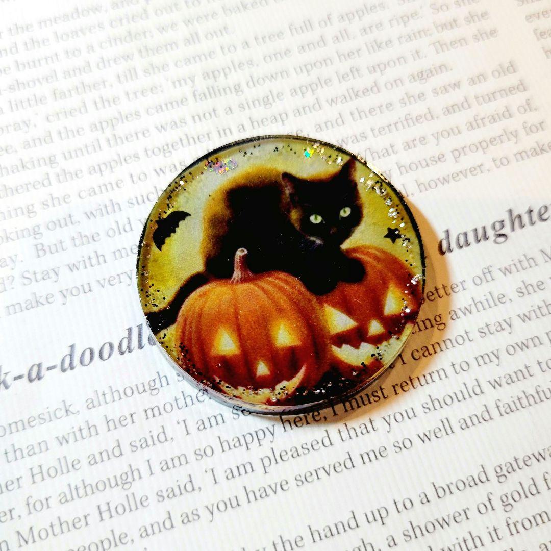 No.308❤黒猫 ハロウィン❤レジンヘアゴム  ブローチ
