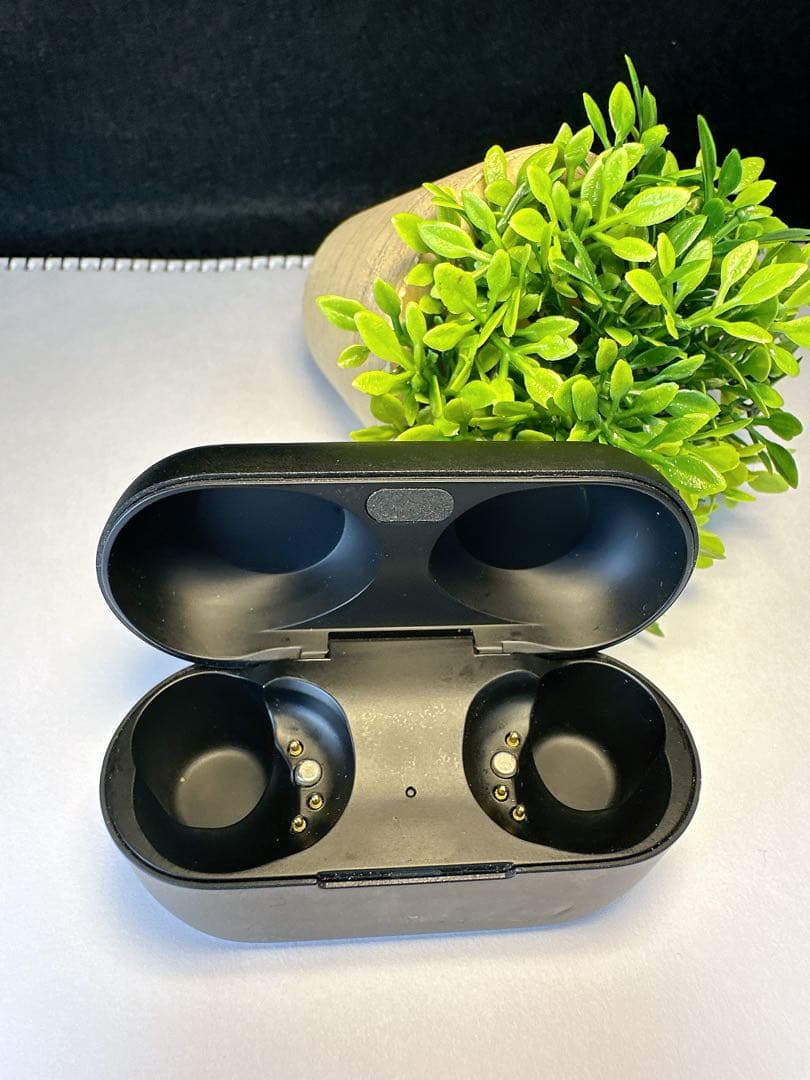 Technics EAH-AZ80 ブラック　充電ケースのみ