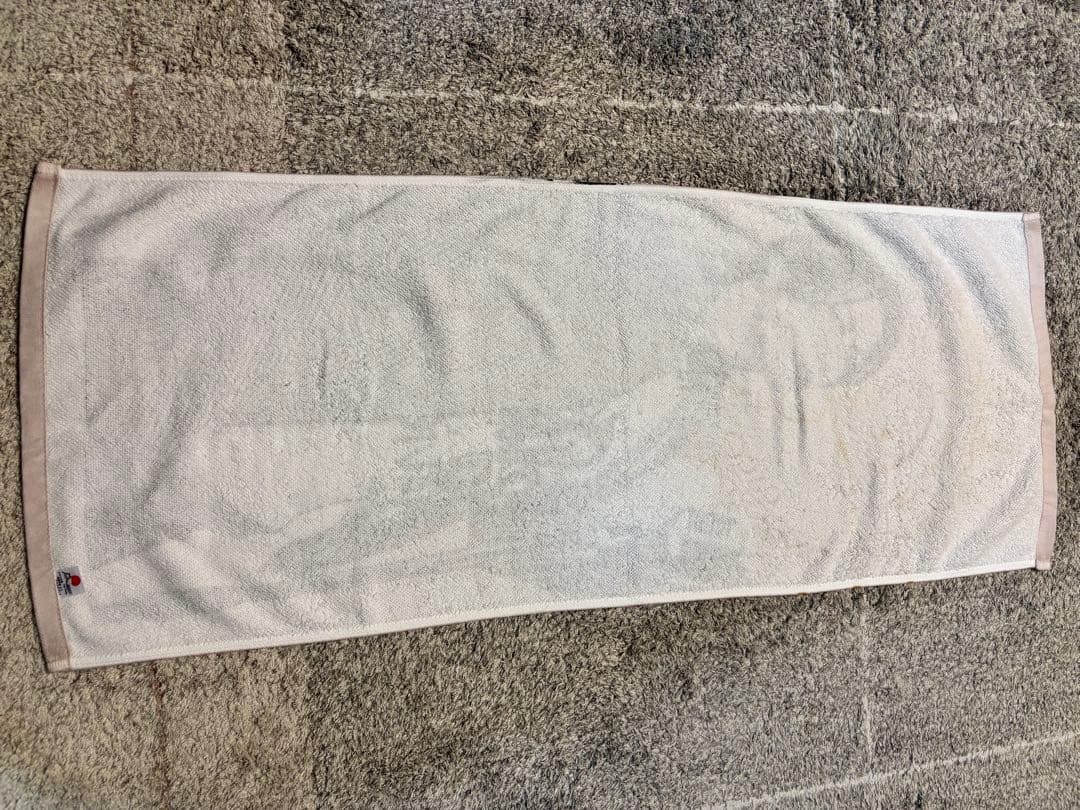 【美品・レア】GACKT ライブ ツアー ダイヤモンド会員Tシャツ付き