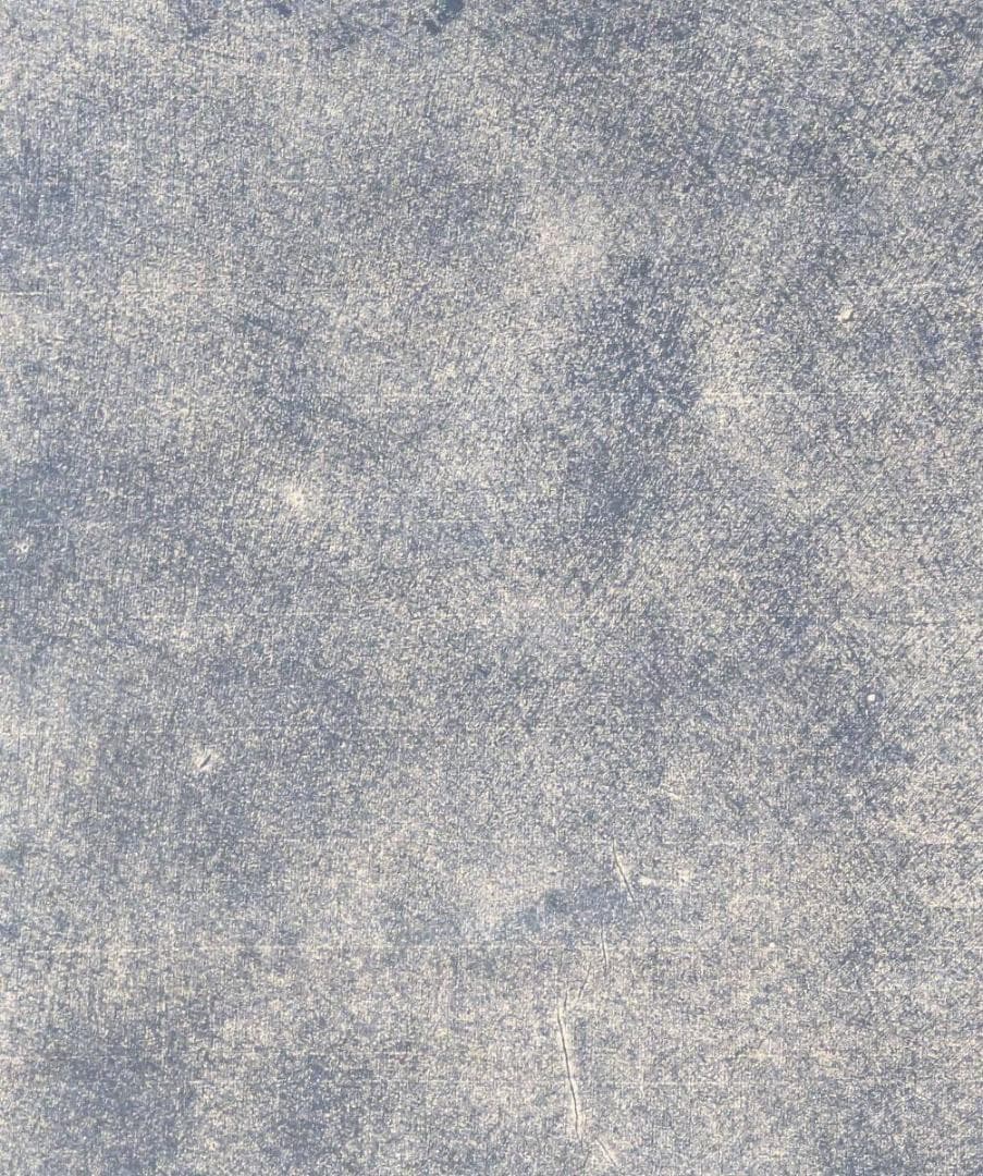 【真作】【複製】掛軸　拓本　山水詩刻拓本　V71